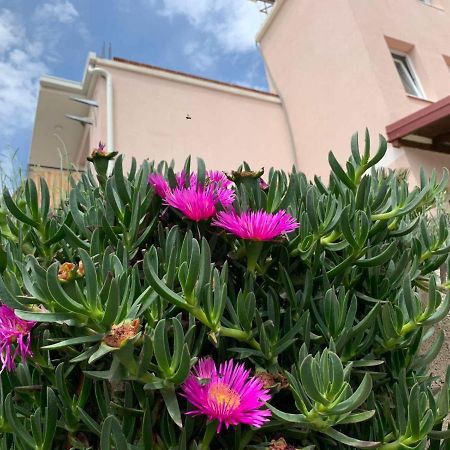 Vila Bella Jaz Budva Dış mekan fotoğraf