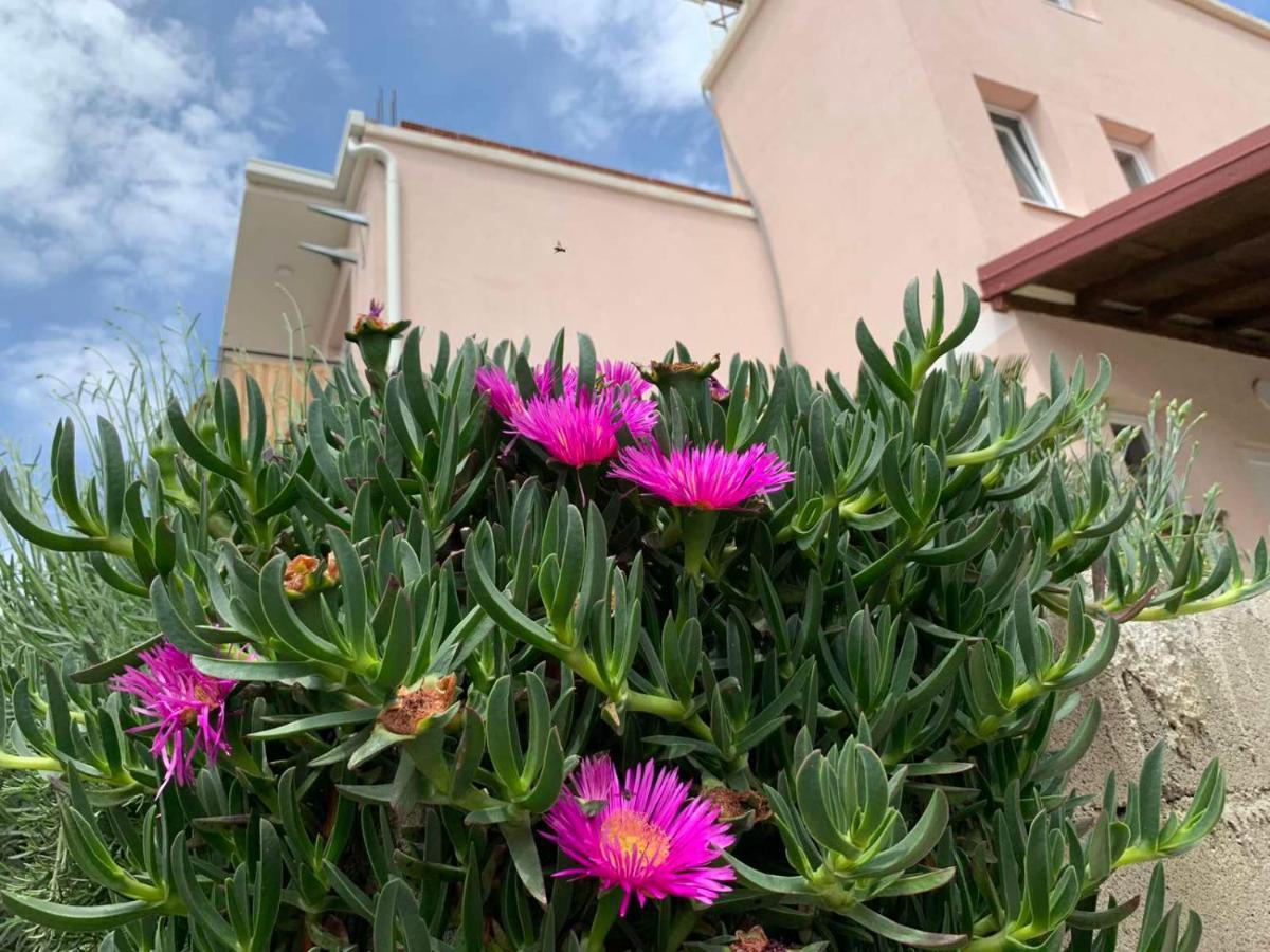Vila Bella Jaz Budva Dış mekan fotoğraf